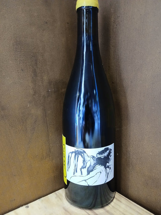 AOP Chablis "Vent D'Ange" 2021 Domaine PATTES LOUP