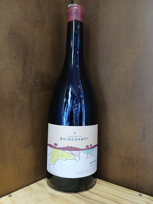 AOP Beaujolais-Villages Gamay 2024 Domaine BOISCHAMPT